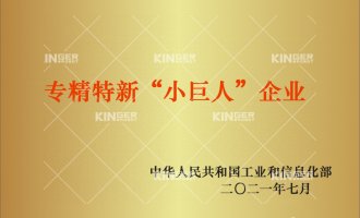 【喜报】再添沉磅荣誉！大奖国际18dj18机械人入选国度工信部专精特新“幼巨人”企业